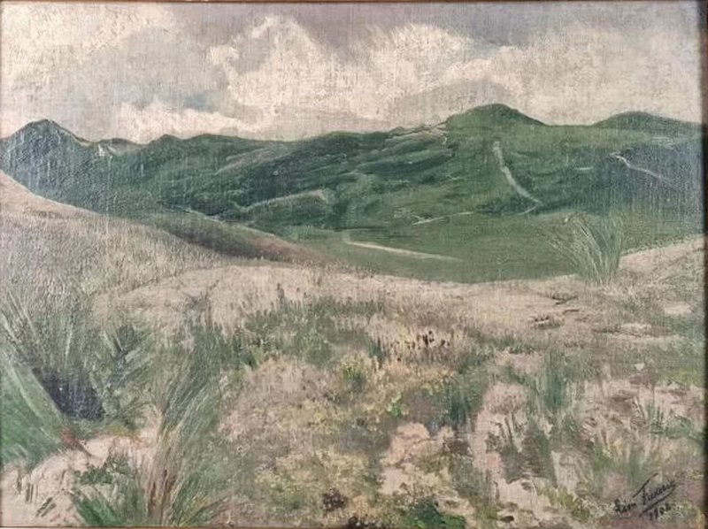 Nelle Ardenne